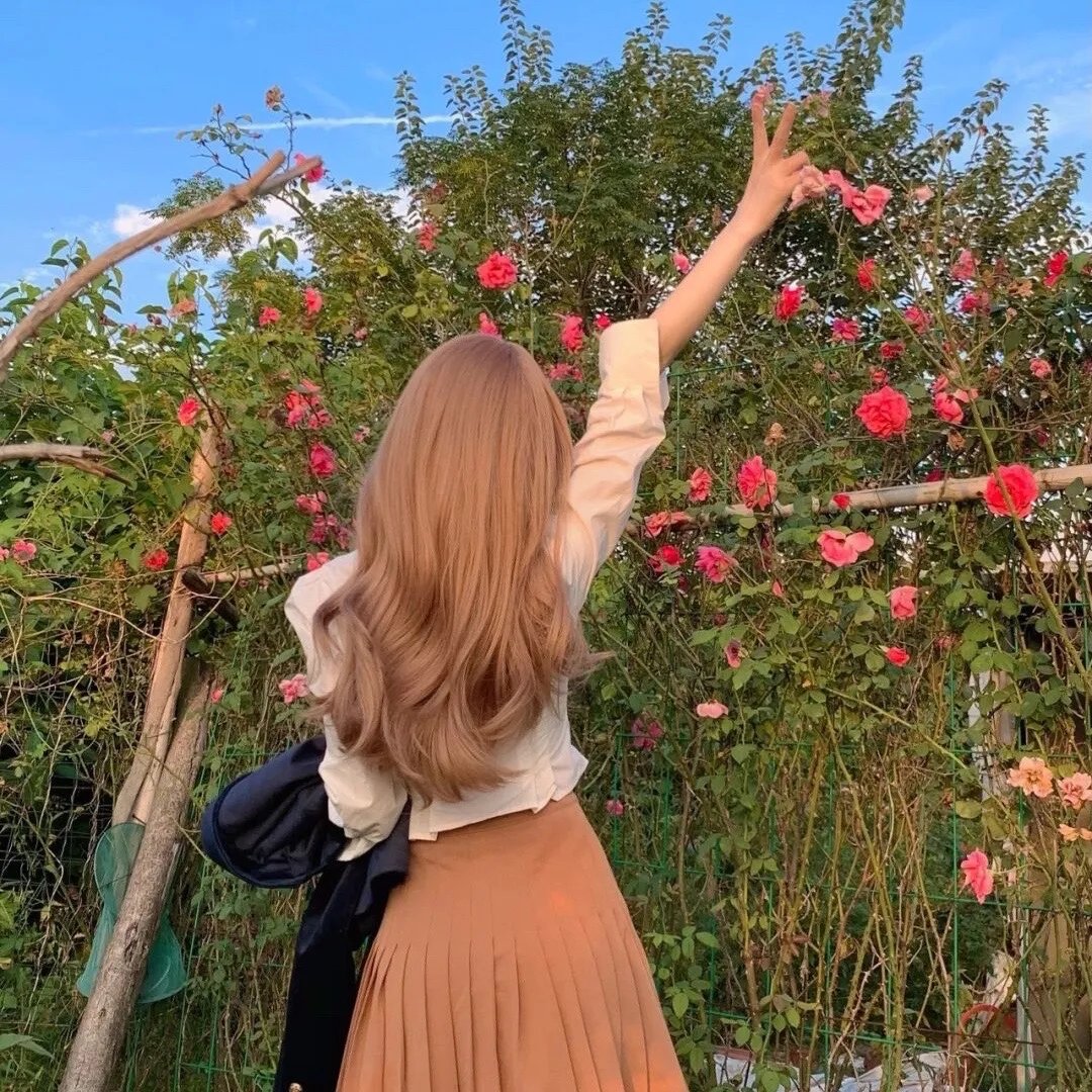 戴洛奇小镇第一季